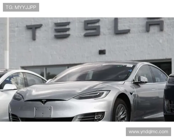 欧足联将调查维尼修斯遭歧视事件